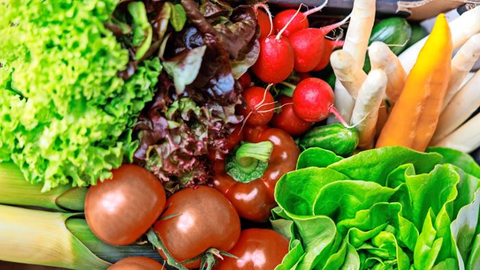 Tomaten, Salat, Radieschen: Tipps für den Gemüsegarten – so klappt der Anbau
