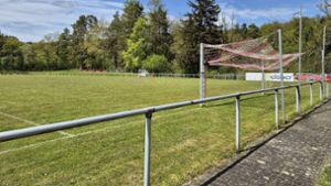 VfL Ostelsheim schafft Flutlichtanlage an: Gemeinde greift Verein unter die Arme